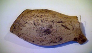 Fig 1. Mid 17th century clay pipe bowl
